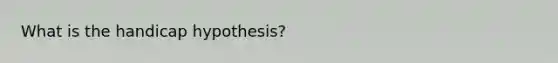 What is the handicap hypothesis?