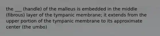 the ___ (handle) of the malleus is embedded in the middle (fibrous) layer of the tympanic membrane; it extends from the upper portion of the tympanic membrane to its approximate center (the umbo)