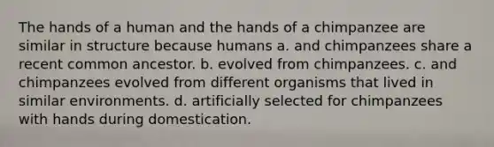 The hands of a human and the hands of a chimpanzee are similar in structure because humans a. and chimpanzees share a recent common ancestor. b. evolved from chimpanzees. c. and chimpanzees evolved from different organisms that lived in similar environments. d. artificially selected for chimpanzees with hands during domestication.