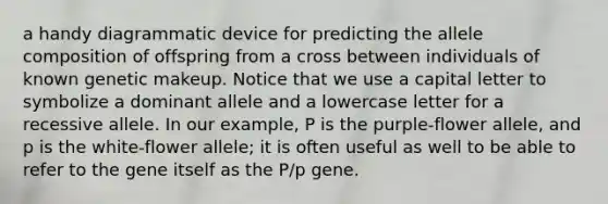 a handy diagrammatic device for predicting the allele composition of offspring from a cross between individuals of known genetic makeup. Notice that we use a capital letter to symbolize a dominant allele and a lowercase letter for a recessive allele. In our example, P is the purple-flower allele, and p is the white-flower allele; it is often useful as well to be able to refer to the gene itself as the P/p gene.