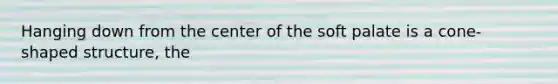 Hanging down from the center of the soft palate is a cone-shaped structure, the