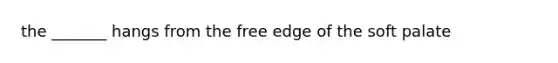 the _______ hangs from the free edge of the soft palate