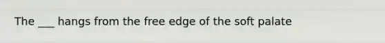 The ___ hangs from the free edge of the soft palate