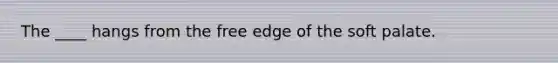 The ____ hangs from the free edge of the soft palate.