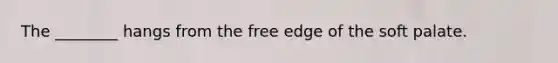 The ________ hangs from the free edge of the soft palate.