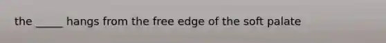 the _____ hangs from the free edge of the soft palate