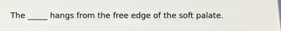 The _____ hangs from the free edge of the soft palate.