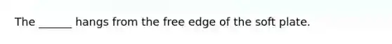 The ______ hangs from the free edge of the soft plate.