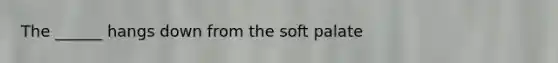 The ______ hangs down from the soft palate