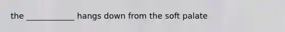 the ____________ hangs down from the soft palate