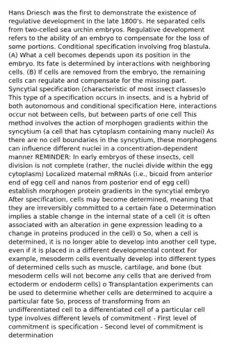 Hans Driesch was the first to demonstrate the existence of regulative development in the late 1800's. He separated cells from two-celled sea urchin embryos. Regulative development refers to the ability of an embryo to compensate for the loss of some portions. Conditional specification involving frog blastula. (A) What a cell becomes depends upon its position in the embryo. Its fate is determined by interactions with neighboring cells. (B) If cells are removed from the embryo, the remaining cells can regulate and compensate for the missing part. Syncytial specification (characteristic of most insect classes)o This type of a specification occurs in insects, and is a hybrid of both autonomous and conditional specification Here, interactions occur not between cells, but between parts of one cell This method involves the action of morphogen gradients within the syncytium (a cell that has cytoplasm containing many nuclei) As there are no cell boundaries in the syncytium, these morphogens can influence different nuclei in a concentration-dependent manner REMINDER: In early embryos of these insects, cell division is not complete (rather, the nuclei divide within the egg cytoplasm) Localized maternal mRNAs (i.e., bicoid from anterior end of egg cell and nanos from posterior end of egg cell) establish morphogen protein gradients in the syncytial embryo After specification, cells may become determined, meaning that they are irreversibly committed to a certain fate o Determination implies a stable change in the internal state of a cell (it is often associated with an alteration in gene expression leading to a change in proteins produced in the cell) o So, when a cell is determined, it is no longer able to develop into another cell type, even if it is placed in a different developmental context For example, mesoderm cells eventually develop into different types of determined cells such as muscle, cartilage, and bone (but mesoderm cells will not become any cells that are derived from ectoderm or endoderm cells) o Transplantation experiments can be used to determine whether cells are determined to acquire a particular fate So, process of transforming from an undifferentiated cell to a differentiated cell of a particular cell type involves different levels of commitment - First level of commitment is specification - Second level of commitment is determination