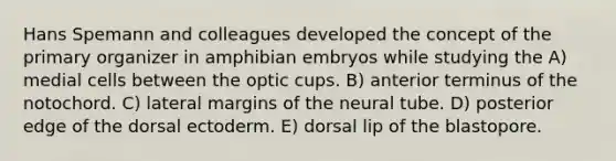 Hans Spemann and colleagues developed the concept of the primary organizer in amphibian embryos while studying the A) medial cells between the optic cups. B) anterior terminus of the notochord. C) lateral margins of the neural tube. D) posterior edge of the dorsal ectoderm. E) dorsal lip of the blastopore.