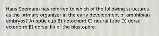 Hans Spemann has referred to which of the following structures as the primary organizer in the early development of amphibian embryos? A) optic cup B) notochord C) neural tube D) dorsal ectoderm E) dorsal lip of the blastopore