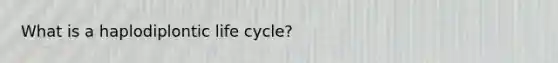 What is a haplodiplontic life cycle?