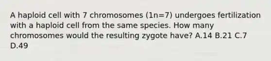 A haploid cell with 7 chromosomes (1n=7) undergoes fertilization with a haploid cell from the same species. How many chromosomes would the resulting zygote have? A.14 B.21 C.7 D.49