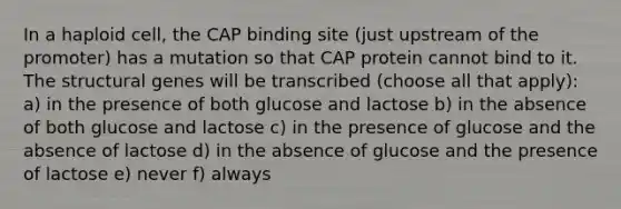 In a haploid cell, the CAP binding site (just upstream of the promoter) has a mutation so that CAP protein cannot bind to it. The structural genes will be transcribed (choose all that apply): a) in the presence of both glucose and lactose b) in the absence of both glucose and lactose c) in the presence of glucose and the absence of lactose d) in the absence of glucose and the presence of lactose e) never f) always