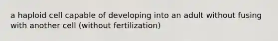 a haploid cell capable of developing into an adult without fusing with another cell (without fertilization)