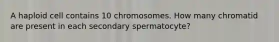 A haploid cell contains 10 chromosomes. How many chromatid are present in each secondary spermatocyte?