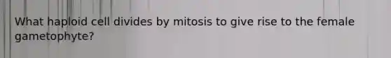 What haploid cell divides by mitosis to give rise to the female gametophyte?