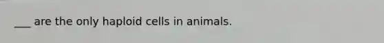 ___ are the only haploid cells in animals.