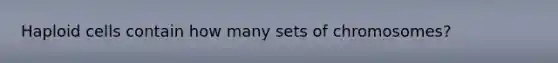 Haploid cells contain how many sets of chromosomes?