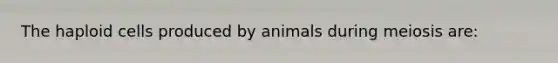 The haploid cells produced by animals during meiosis are: