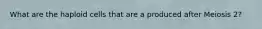 What are the haploid cells that are a produced after Meiosis 2?
