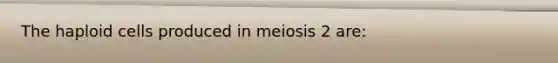 The haploid cells produced in meiosis 2 are: