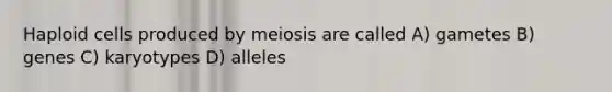 Haploid cells produced by meiosis are called A) gametes B) genes C) karyotypes D) alleles