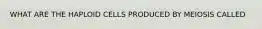 WHAT ARE THE HAPLOID CELLS PRODUCED BY MEIOSIS CALLED