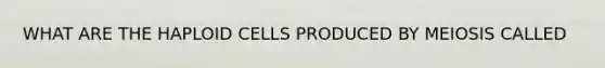 WHAT ARE THE HAPLOID CELLS PRODUCED BY MEIOSIS CALLED