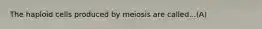 The haploid cells produced by meiosis are called...(A)