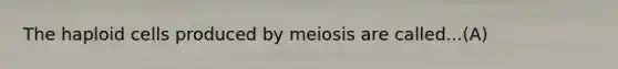 The haploid cells produced by meiosis are called...(A)