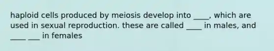 haploid cells produced by meiosis develop into ____, which are used in sexual reproduction. these are called ____ in males, and ____ ___ in females