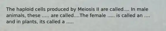 The haploid cells produced by Meiosis II are called.... In male animals, these ..... are called....The female ..... is called an .... and in plants, its called a .....