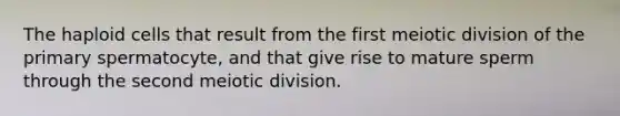 The haploid cells that result from the first meiotic division of the primary spermatocyte, and that give rise to mature sperm through the second meiotic division.