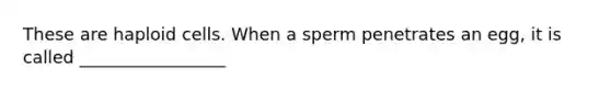 These are haploid cells. When a sperm penetrates an egg, it is called _________________