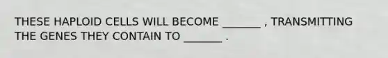 THESE HAPLOID CELLS WILL BECOME _______ , TRANSMITTING THE GENES THEY CONTAIN TO _______ .