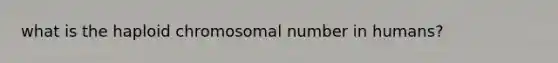 what is the haploid chromosomal number in humans?