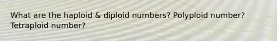 What are the haploid & diploid numbers? Polyploid number? Tetraploid number?