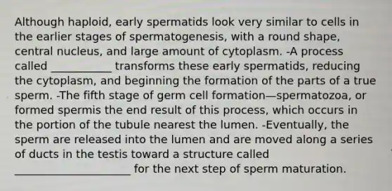 Although haploid, early spermatids look very similar to cells in the earlier stages of spermatogenesis, with a round shape, central nucleus, and large amount of cytoplasm. -A process called ___________ transforms these early spermatids, reducing the cytoplasm, and beginning the formation of the parts of a true sperm. -The fifth stage of germ cell formation—spermatozoa, or formed spermis the end result of this process, which occurs in the portion of the tubule nearest the lumen. -Eventually, the sperm are released into the lumen and are moved along a series of ducts in the testis toward a structure called _____________________ for the next step of sperm maturation.