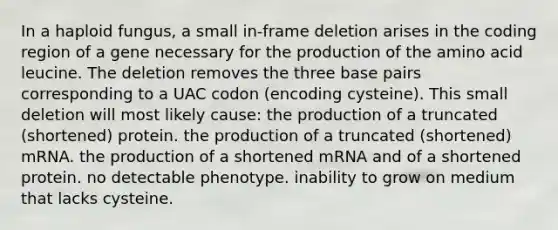 In a haploid fungus, a small in-frame deletion arises in the coding region of a gene necessary for the production of the amino acid leucine. The deletion removes the three base pairs corresponding to a UAC codon (encoding cysteine). This small deletion will most likely cause: the production of a truncated (shortened) protein. the production of a truncated (shortened) mRNA. the production of a shortened mRNA and of a shortened protein. no detectable phenotype. inability to grow on medium that lacks cysteine.