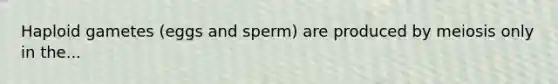 Haploid gametes (eggs and sperm) are produced by meiosis only in the...