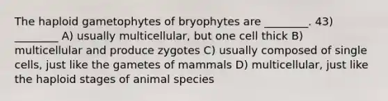 The haploid gametophytes of bryophytes are ________. 43) ________ A) usually multicellular, but one cell thick B) multicellular and produce zygotes C) usually composed of single cells, just like the gametes of mammals D) multicellular, just like the haploid stages of animal species