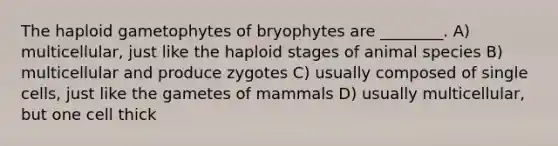 The haploid gametophytes of bryophytes are ________. A) multicellular, just like the haploid stages of animal species B) multicellular and produce zygotes C) usually composed of single cells, just like the gametes of mammals D) usually multicellular, but one cell thick