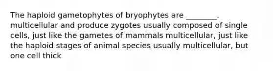 The haploid gametophytes of bryophytes are ________. multicellular and produce zygotes usually composed of single cells, just like the gametes of mammals multicellular, just like the haploid stages of animal species usually multicellular, but one cell thick