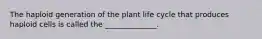 The haploid generation of the plant life cycle that produces haploid cells is called the ______________.