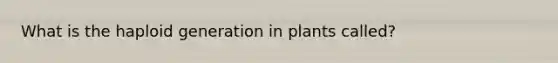 What is the haploid generation in plants called?