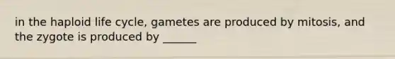 in the haploid life cycle, gametes are produced by mitosis, and the zygote is produced by ______