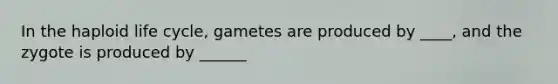 In the haploid life cycle, gametes are produced by ____, and the zygote is produced by ______